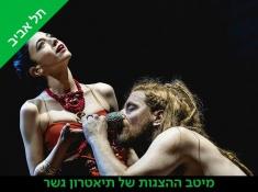 כרטיס בהנחה להצגה שמשון