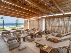 חוף התמרים עכו